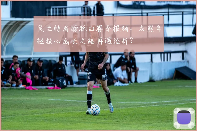 莫兰特肩膀脱臼赛季报销，灰熊年轻核心成长之路再遇挫折？